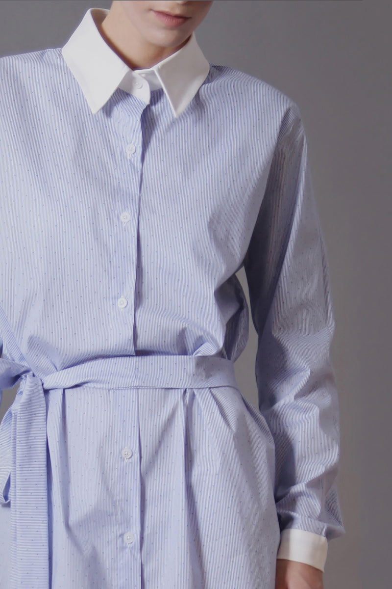 Belted Blue Shirtdress